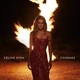 Виниловая пластинка Celine Dion - Courage (2LP), Electronic, Pop - изображение 1