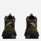 Женские демисезонные ботинки низкие для треккинга с мембраной Jack Wolfskin Wild Hike Texapore Mid W A65580_5530 39.5 (6UK/8USA) 25.1 см Коричневые (4064886770101) - изображение 5