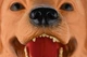 Игрушка-рукавичка Same Toy Собака Лабрадор - изображение 3