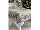 Скатертина гобеленова RUNNER1267-300 Limaso 160х300 см 000363527 - зображення 3