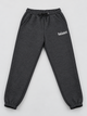 Зимние теплые мужские спортивные штаны серые с начесом Balance (450362) 2XL - изображение 3
