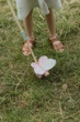 Pchacz na pałąku Little Dutch LD7343 Fairy Garden FSC (8713291773431) - obraz 5