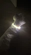 Яркий светодиодный LED ошейник для собак и кошек 70 см (можно укорачивать) с USB-заряд. Видимость до 500м в темноте. Цвет белыый. - изображение 4