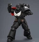 Фігурка warhammer40k JoyToy Raven Guard Intercessor with Bolt Rifle, Bolt Pistol and Chainsword 1/18 - изображение 4