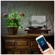 Gramofon DNA TT1 z Bluetooth i trzema prędkościami obrotowymi w obudowie mahoniowej (5908249816336) - obraz 8