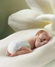 Подгузники Babycare Jinshan Camellia M (6-11 кг), 100 шт (2 x 50) - изображение 2