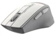 Мышь Fstyler FG30 2000dpi Grey+White A4Tech (2000003654000) - изображение 2