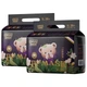 Подгузники-трусики Mingdian Teddy Camellia XL (12-14.5 кг), 76 шт - изображение 1