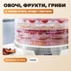 Сушарка для грибів овочів і фруктів Ambiano 350 Вт електросушарка ягід яблук мʼяса дегідратор пастили 5 ярусів побутова - зображення 3