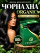 Краска для волос Chandi органик 100 г черная Чанди 240520046) - изображение 1