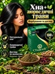 Краска для волос Chandi органик 100 г черная Чанди 240520046) - изображение 4