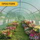 Усиленная теплица ProDobro оцинкованная сталь 36 м² зеленая - изображение 9