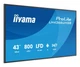 Монітор iiyama ProLite LH4366UHSB-B1AG EU - зображення 3