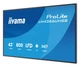 Монітор iiyama ProLite LH4366UHSB-B1AG EU - зображення 4