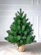 Искусственная елка литая HVOYA Pine Mini в мешковине 70 см Зеленый (810/70/G) - изображение 3