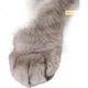 Дошка для подряпин Fengkuangdezhuren для котів, зносостійка, не линяє, наклейка на стіну, подушечка для котів, захисний чохол для дивана від подряпин, іграшка для котів - зображення 1