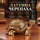 Декоративная латунная фигурка «Черепаха с поднятой головой» 3,1×1,7 см, 25 г - изображение 1