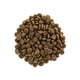 Сухий корм Brit Care Cat GF Sensitive HDigestion & Delicate Taste для котів з чутливим травленням, індичка та лосось, 2 кг - зображення 2