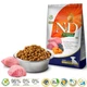 Сухий корм для цуценят дрібних порід Farmina N&D Pumpkin Grain Free з ягням і чорницею 7 кг (8010276033628) - зображення 2