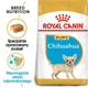 Сухой корм для щенков Royal Canin породы чихуахуа Chihuahua Puppy 1,5 кг (3182550722544) - изображение 2