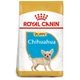 Сухой корм для щенков Royal Canin породы чихуахуа Chihuahua Puppy 1,5 кг (3182550722544) - изображение 1