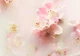 Ароматизатор в авто (автопарфюм) Rituals The Ritual of Sakura - изображение 4