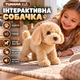 Інтерактивна собачка TUMAMA Kids WYH-281, плюшева іграшка-робот, ходить, гавкає, виляє хвостом, реагує на дотик і звук, коричнева - зображення 1