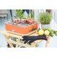 Електрогриль Barbecook E-Carlo BC-ELE-1001 настільний 2500 Вт Red (5404035708033) - зображення 4