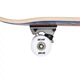 Скейтборд Tony Hawk SS 180 Complete Big League Blue 7.75 дюймів (nkx487) - зображення 4