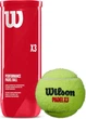 М'ячі для падел-тенісу Wilson Padel 3 ball can Жовтий (WR8900801001) (97512510264) - зображення 1