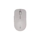 Мишка Canyon MW-12 Wireless/Bluetooth Grey (CNS-CMSW12DG) - изображение 1