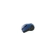 Мишка Canyon CNS-CMSW01BL Wireless Black/Blue (CNS-CMSW01BL) - зображення 1