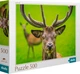 Puzzle DoDo Dostojny jeleń 500 elementów (4820198243739) - obraz 1