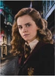 Puzzle DoDo Hard-M Harry Potter Portret Hermiony 450 elementów (4823115910226) - obraz 3