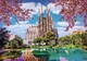 Пазл Trefl Premium Plus Photo Odyssey Sagrada Familia Barcelona Spain 1000 елементів (5900511121377) - зображення 2