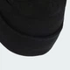 Шапка-бини Adicolor Classic adidas JW7998 (Дорослі (M/L)) черный (4068808825832) - изображение 5