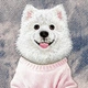 Чохол для смартфона Apple iPhone 18 Pro Max/iPhone 17 Pro Max Nimmy Gentle Pets Series Dog MagSafe Pink (6980002140833) - зображення 6