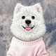 Чохол для смартфона Apple iPhone 18 Pro/iPhone 17 Pro Nimmy Gentle Pets Series Dog MagSafe Pink (6980002140826) - зображення 6