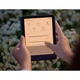 Електронна книга Amazon Kindle Paperwhite 12th Gen 16GB 2024 Raspberry [182935] - Уцінка - зображення 2