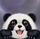 Чохол для смартфона Apple iPhone 18 Pro/iPhone 17 Pro Nimmy Big Eyed Lying Giant Panda MagSafe Black (6980002140260) - зображення 6