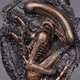 Фігурка NECA Чужий Скам'янілий Ксеноморф, серія Alien Covenant, 14 см(MS_2310092C2608) - зображення 5
