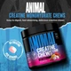 Креатин Animal Creatine Chews 120 tab (Fruit Punch ) - изображение 3