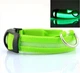 Светящийся ошейник Glowing collar на аккумуляторе с USB зарядкой L (2000992392976) - изображение 1