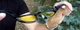 Спортивные очки Global Vision Eyewear HERCULES 7 Smoke - изображение 6