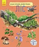 Енциклопедія дошкільника Видавництво РАНОК Ліс (С614016У) - изображение 1