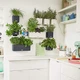 Комплект Lechuza Green Wall Home Kit Color 48х6х14 см білий 13398 - зображення 6
