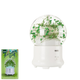 Зволожувач (ароматизатор) повітря Remax Aroma Lamp RT-A700 Green - зображення 2