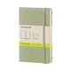 Блокнот Moleskine Classic Мятный карманный 192 страницы нелинованный 9х14 см (8051272893663) - изображение 1