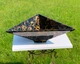 Раковина Snail Пегас T101 114T101 янтарь (68959) - изображение 1