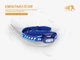 Ліхтар Fenix HL16 Blue - зображення 13